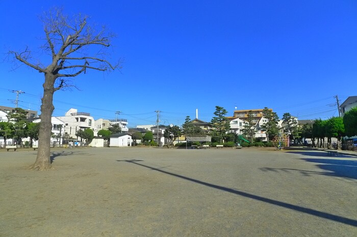 相之川公園(公園)まで33m ソレイユ相之川