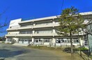 南行徳小学校(小学校)まで488m ソレイユ相之川