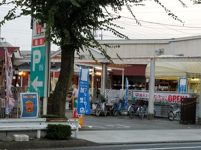 綿半ホームエイド(電気量販店/ホームセンター)まで194m 仮）西国分寺戸建Ａ棟