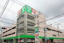 サミットストア 菊名店(スーパー)まで673m グロ－リ－ハイツ