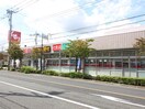 スギ薬局(ドラッグストア)まで438m パークハイムマツモト