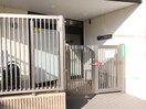 アソシエ不動保育園(幼稚園/保育園)まで250m メゾン観京