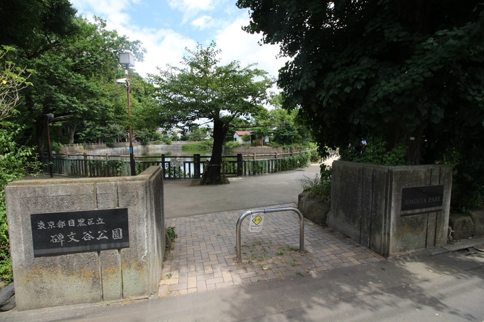 碑文谷公園(公園)まで10m 道間マンション