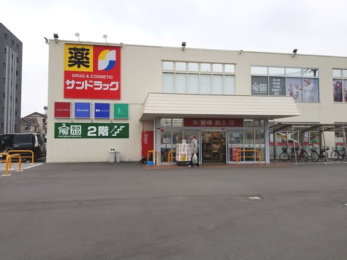 サドラックと激安服店　高橋(ドラッグストア)まで410m ウィステリア