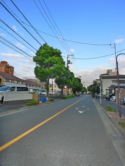 周辺環境 フローラ５