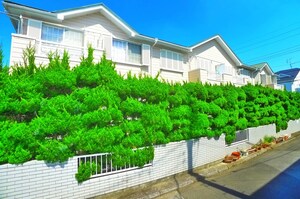 ピュアコーポ四番館