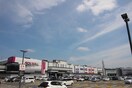 イオン(ショッピングセンター/アウトレットモール)まで920m プログ栄町