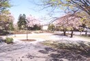 諏訪の森公園(公園)まで350m カルム船水