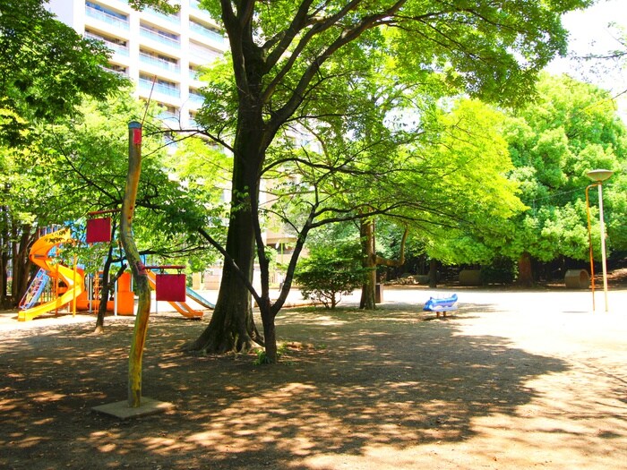 西ノ原中央公園(公園)まで100m ふじみ野