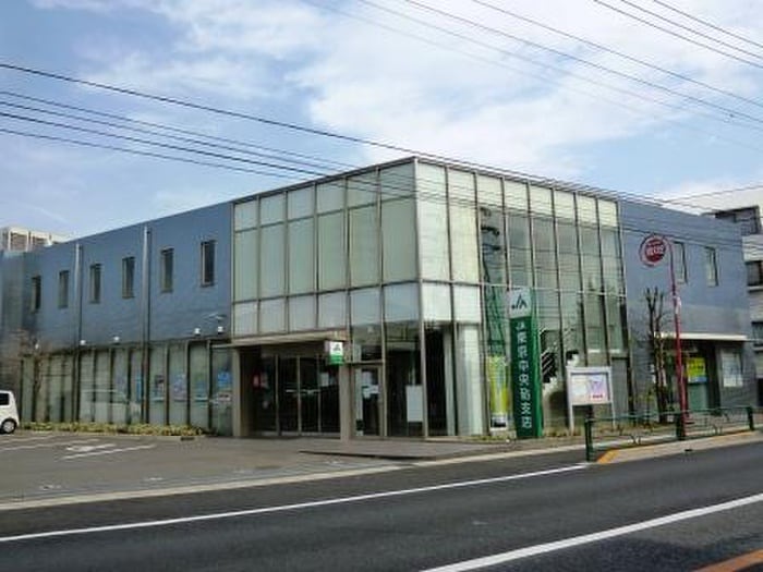 JA東京中央砧支店(銀行)まで486m サンファスト成城