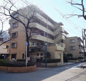 ハイタウン南馬込（５０７）