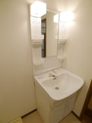 洗面 ウェルス幸