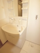 洗面 パークサイドハイツタケノヤ