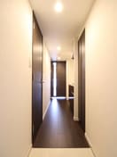 廊下 KDXレジデンス豊洲