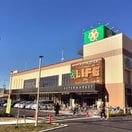 ライフ 上鶴間店(スーパー)まで447m スカイライト大野Ⅳ