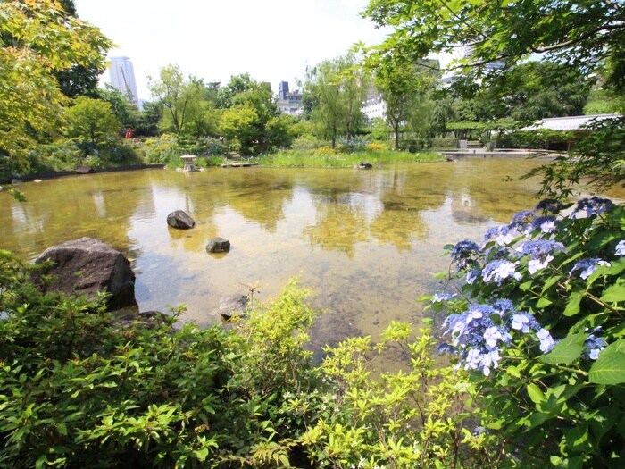 檜町公園(公園)まで120m テラス乃木坂