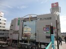 キャンドゥ　中山とうきゅう店(100均)まで726m アイビス中山