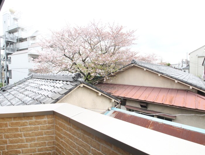 室内からの展望 ルノン