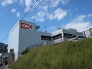 ＯＫストア宮崎台店(スーパー)まで378m アプリーレ宮崎台Ⅱ