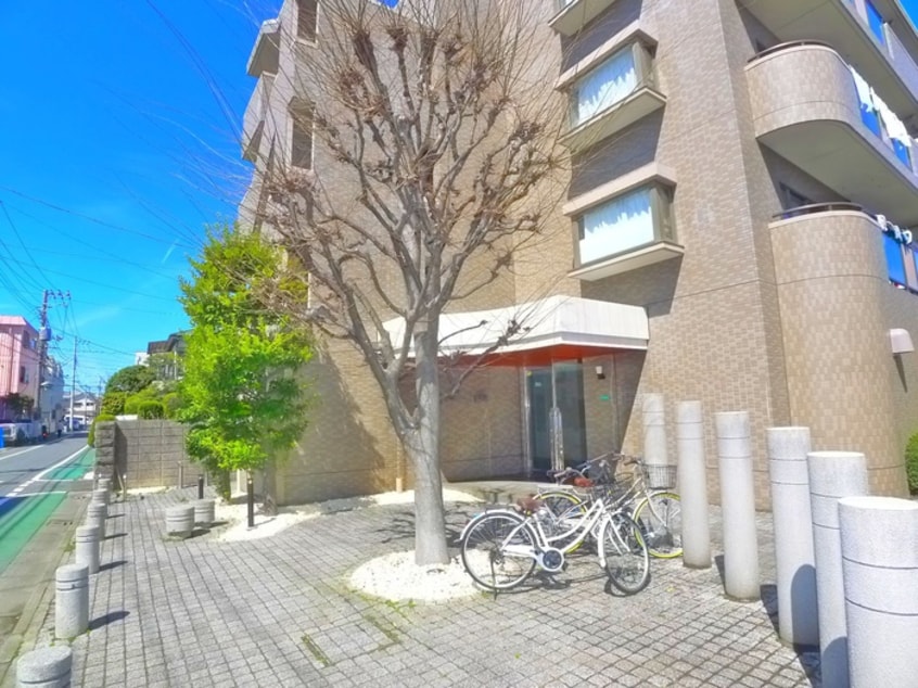 周辺環境 ラフィーネ壹番館