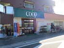 ＣＯＯＰ(スーパー)まで350m 第３池武屋コ－ポ