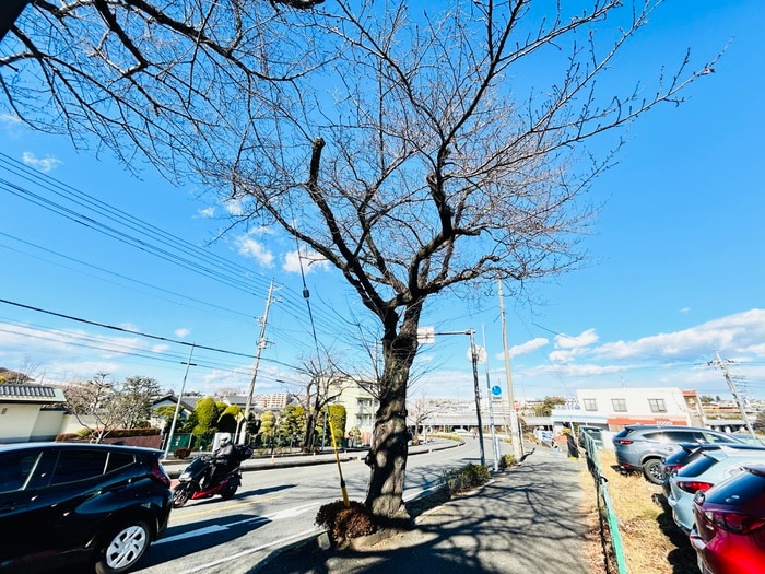 周辺環境 ファーストＳ・Ｓ