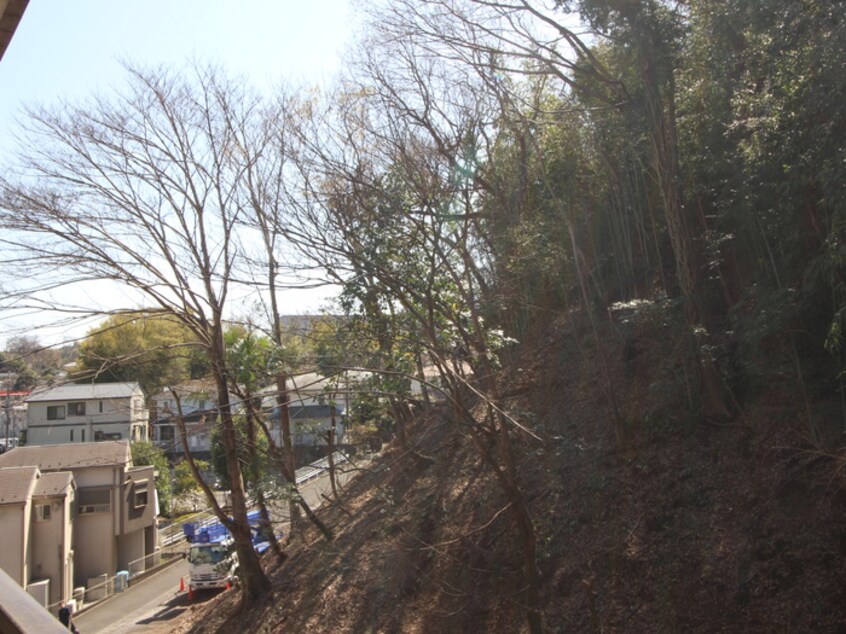 室内からの展望 フレイジョア鴨居