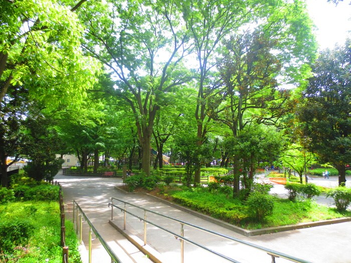 周辺環境 ＮＣＲｅ新宿中央公園