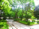 新宿中央公園(公園)まで140m ＮＣＲｅ新宿中央公園