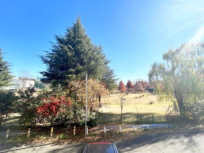 室内からの展望 大久保ハイツ