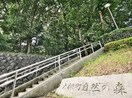 大棚町自然の森(公園)まで544m サワハイツB