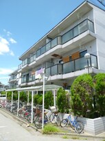 グリ－ン・シャイン芝