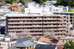 ナイス エスアリーナ弘明寺