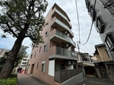 ルピナスヤマジ