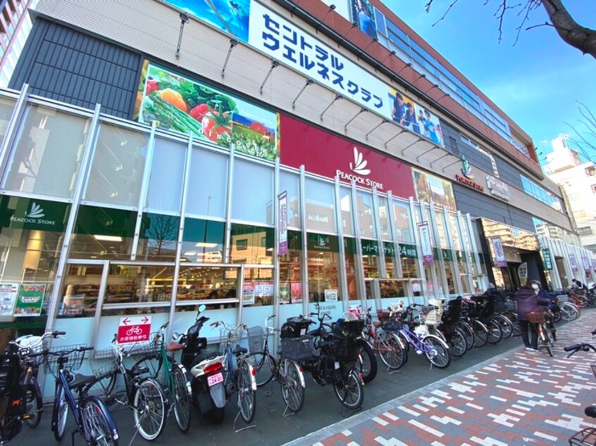 ピーコックストア　上池袋店(スーパー)まで220m エルファーロ大塚２