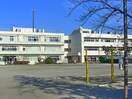 新井小学校(小学校)まで80m ｔｏｍａｔｏⅢ　Ｂ棟