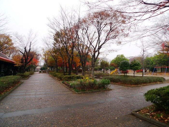 青葉台公園(公園)まで320m グリーンハイツ朝霞