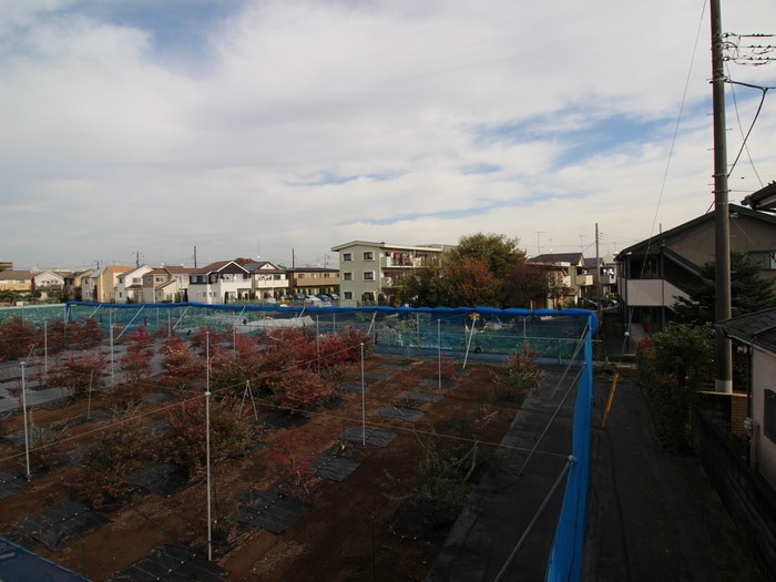 室内からの展望 サンボナ－ル