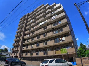 藤和ｼﾃｨﾎ-ﾑｽﾞ板橋大山弐番館(303