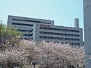 東京都立広尾病院(病院)まで600m ザ・パーククロス広尾（８０２）