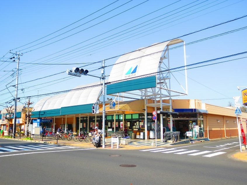 マルフジ(スーパー)まで1000m フラッツ藤