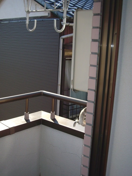 ベランダ・バルコニー 柏本ホ－ムズ