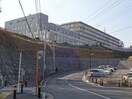 新百合ヶ丘総合病院(病院)まで900m ノ－ブル新百合