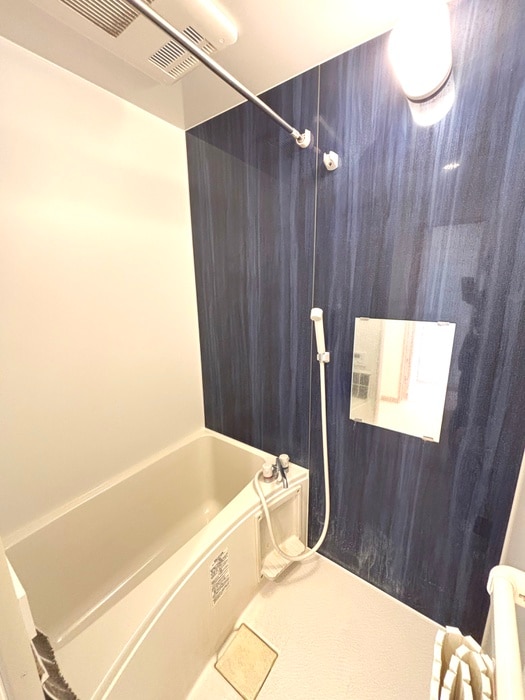 バス／シャワールーム等 アノンテラス枡形Ⅱ