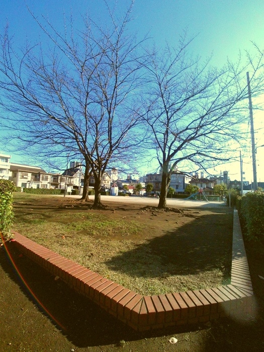 氷川上田公園(公園)まで396m コ－ポ林