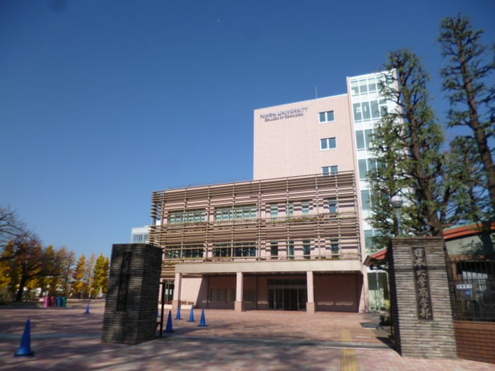日本大学商学部(大学/短大/専門学校)まで435m サンヴィアーレ砧