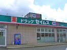セイムス(ドラッグストア)まで750m ヴェルジェ