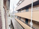 室内からの展望 桜道コーポ