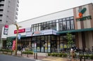 よしや SainE(セーヌ) 常盤台店(スーパー)まで235m 南常盤台ハイム