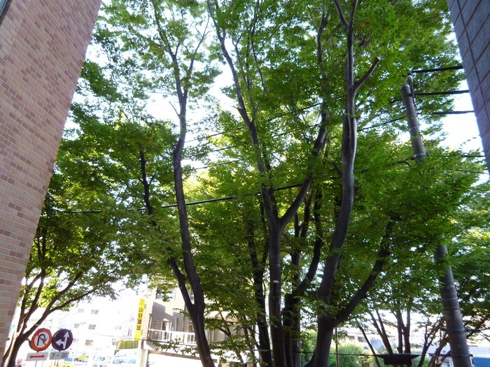 室内からの展望 フォーチュンドゥミール